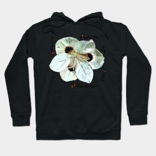 Dietes bicolor, Wild iris Hoodie